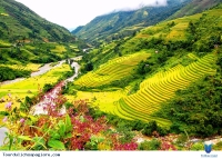 Thanh Hoa Sapa 4 Days 3 Nights Hotel and Home Stay