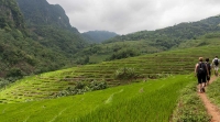 Hanoi - Ninh Binh - Pu Luong - Mai Chau 4 days Trekking Tour