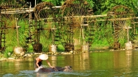 Tour Thanh Hoa - Ninh Binh - Mai chau - Pu luong Discovery 5 Days 4 nights