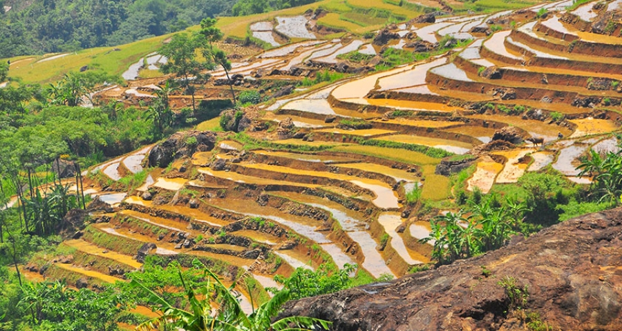 Discovery Kho Mường Village by motorbike for 1 day