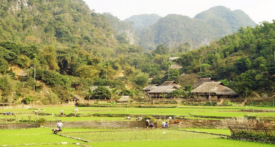 Pu Luong Trekking Tours in 3 Days 2 nights