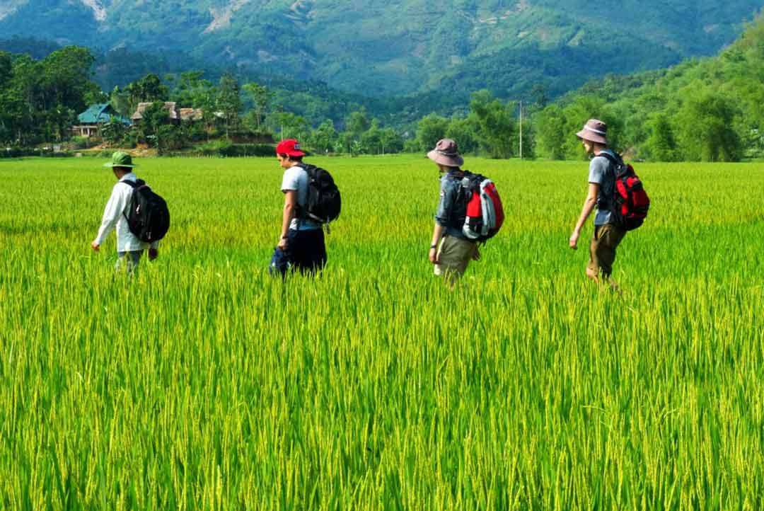 Hanoi pu luong trekking tours