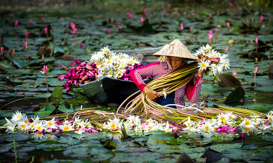 Vietnam Impressive Tour